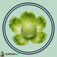 1 Piece De salade iceberg