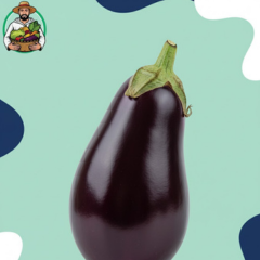 1kg De Grande Aubergine