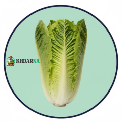 1 Piece De Laitue Romaine