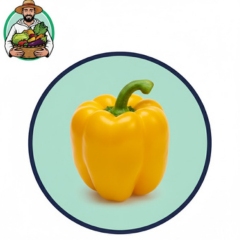 500g De Poivron Jaune