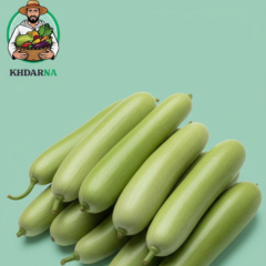 Courgette Slaoui Roumi