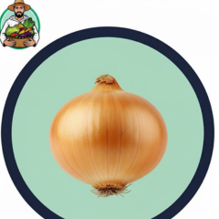 1kg De Oignon Blanc