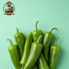 فلفل أخضر طويل (500g)