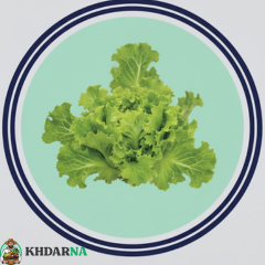 1pc de laitue frisée