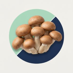 1kg شومبينيو قهوي